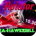 antigua hawksbill Ultimate v1.3.7