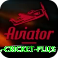 bbl cricket Champion Casino App