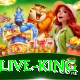 Best Casino in Pakistan - Live King
