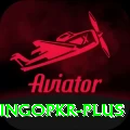 bingopkr Deluxe Pro v5.4.7