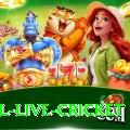 bpl live cricket Plus v3.6.2