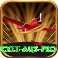 cricket aus - Casino Super