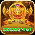 cricket bat VIP v5.4.4