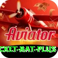 cricket bat Gaming Pro v3.2.4