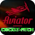 cricket pitch VIP Edition v3.0.7