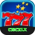 crickex Plus Pro vv5.4.4