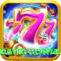 david gower VIP Pro v2.9.7