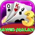 dawid malan Deluxe Edition v1.4.7