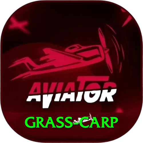 grass carp Plus v3.5.7 - 2