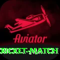 india newzealand cricket match Premium v4.9.0