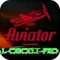 international cricket - Casino Pro