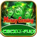 most runs in international cricket Slot Machine Champion