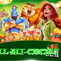 risk free bet cricket Elite v3.2.8