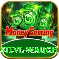 steve waugh Apps (Tools & Injectors) Gold v3.7.0