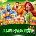 test match Ultimate Pro v4.9.4