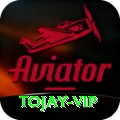 tojay Apps (Tools & Injectors) Plus v4.2.7
