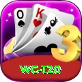 wc t20 VIP Edition v4.8.0
