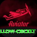 willow cricket Plus v3.3.4