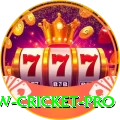 willow cricket Gold Latest v5.7.0