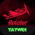 yaywin Pro